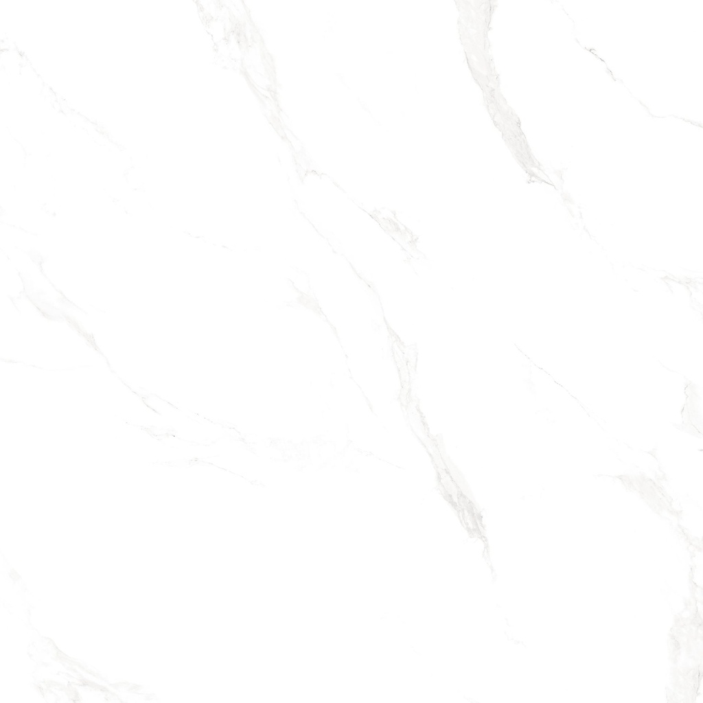 Marble Carrara Polished 24x24 Wholesaler tile distributor in Florida